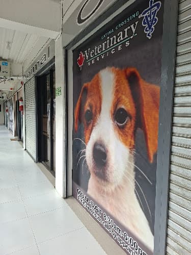 Matina Crossing Veterinary Services listing photo