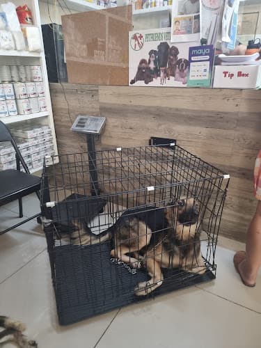Petfriends Veterinary Clinic listing photo