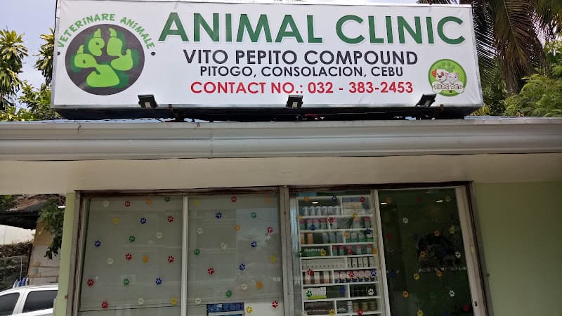 GPY Veterinare Animale Veterinary Clinic listing photo