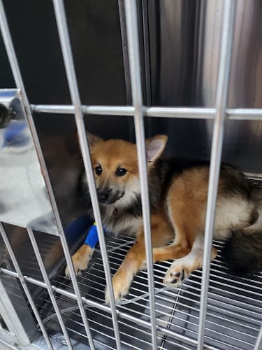 Pet aid veterinary clinic - Rodriguez listing photo