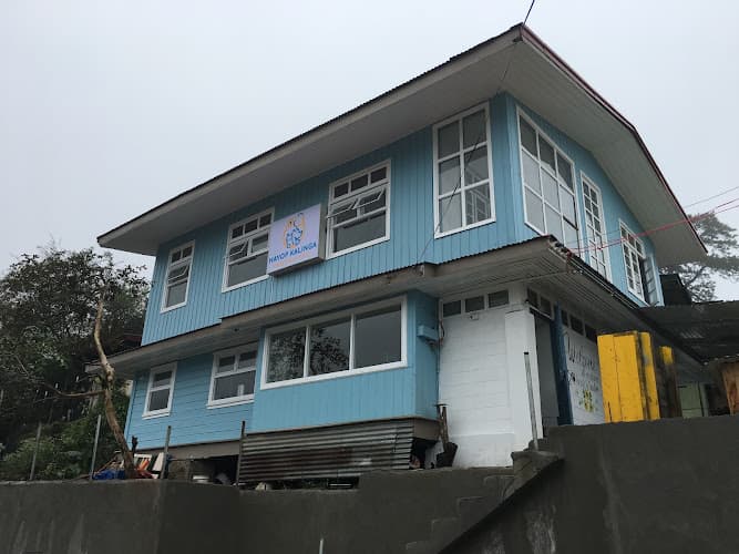 Hayop Kalinga Veterinary Clinic Baguio listing photo