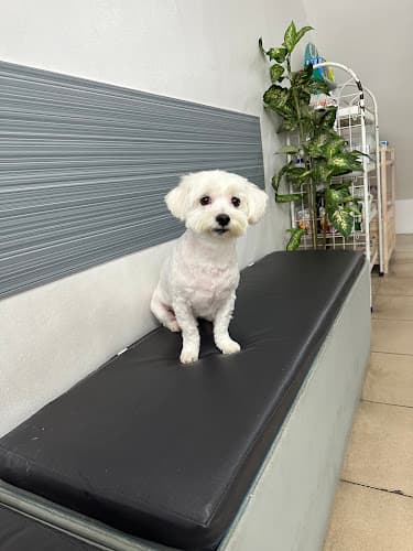 Chua Veterinary Clinic listing photo