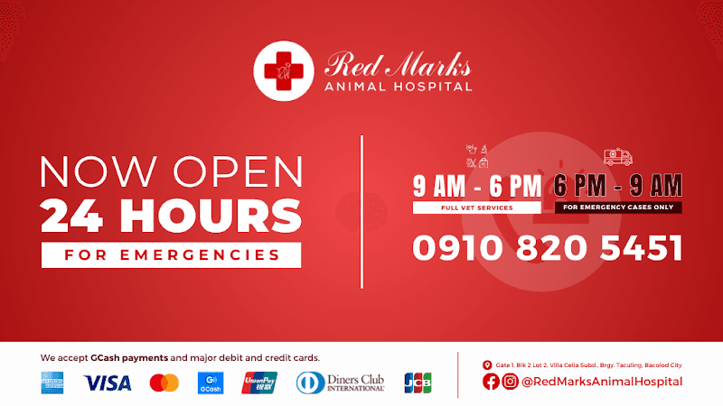 Red Marks Animal Hospital listing photo