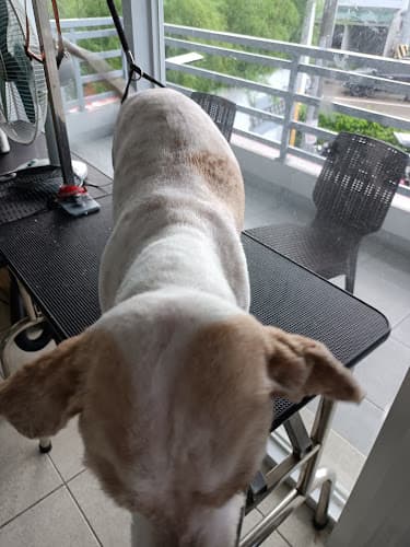 PetFort Veterinary Clinic listing photo