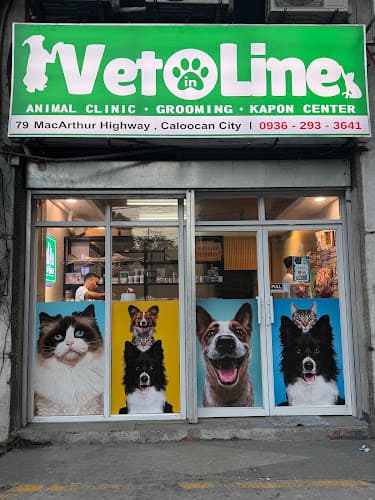 Vet In Line Animal Clinic-Grooming-Kapon Center listing photo