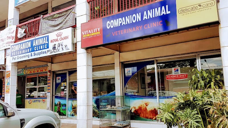 Companion Animal Veterinary Clinic listing photo