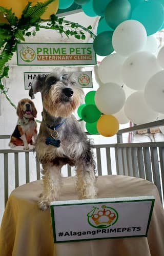 Prime Pets Veterinary Clinic - ANTIPOLO listing photo