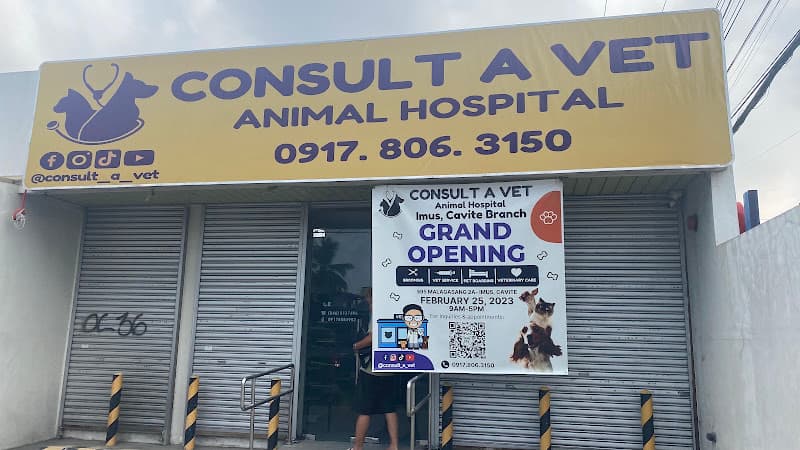 Consult A Vet • Imus Branch listing photo
