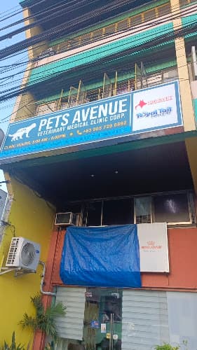Pet's Avenue Veterinary Medical Clinic Corp. listing photo