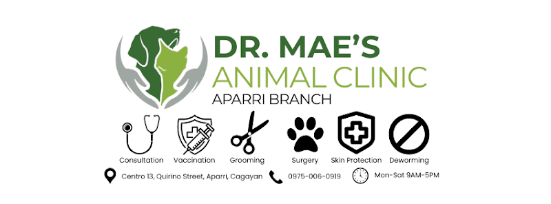 Dr. Mae's Animal Clinic Aparri Branch listing photo