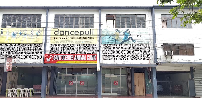 Santoceldes Animal Clinic listing photo