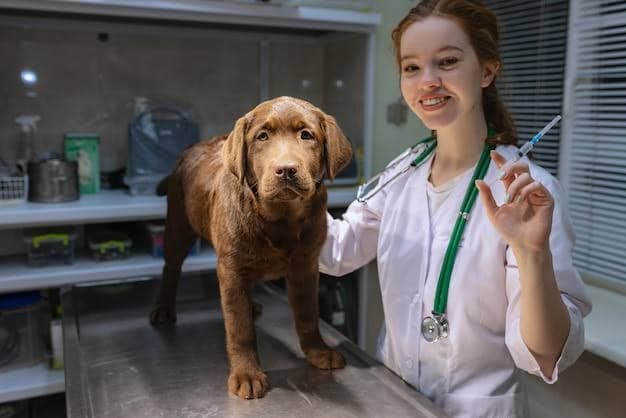 St. Joseph Veterinary Clinic & Supplies listing photo