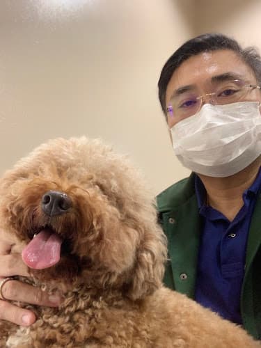 Animal Kingdom Veterinary Hospital listing photo