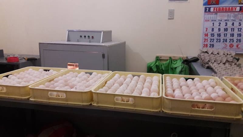 Dok Tilaok Animal Health Services~Janiuay listing photo