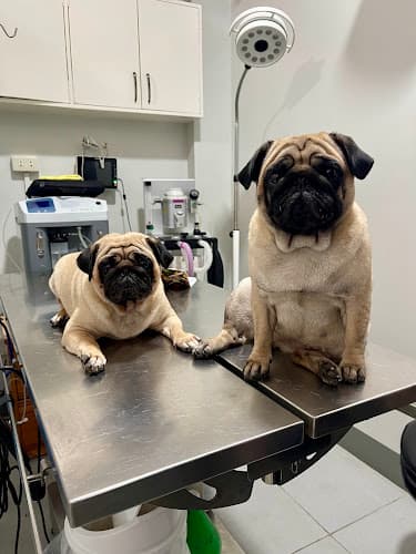 Eastern Pangasinan Veterinary Clinic listing photo