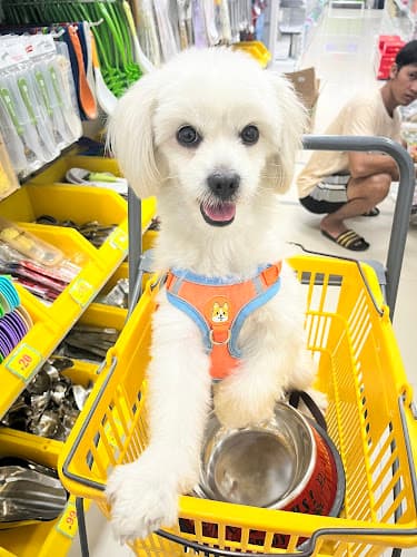 Dolor veterinary clinic listing photo