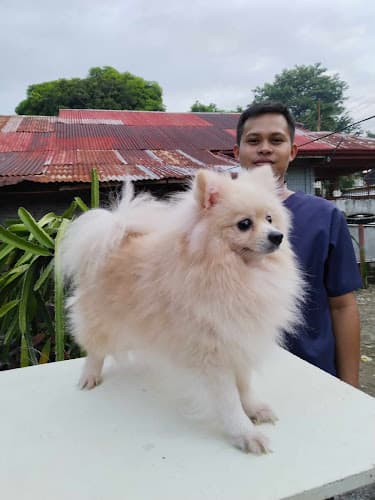 DR. M PET STATION - ASTURIAS listing photo