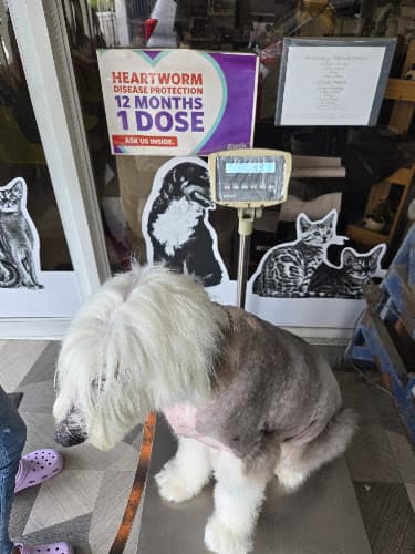 Veterinary Clinic listing photo