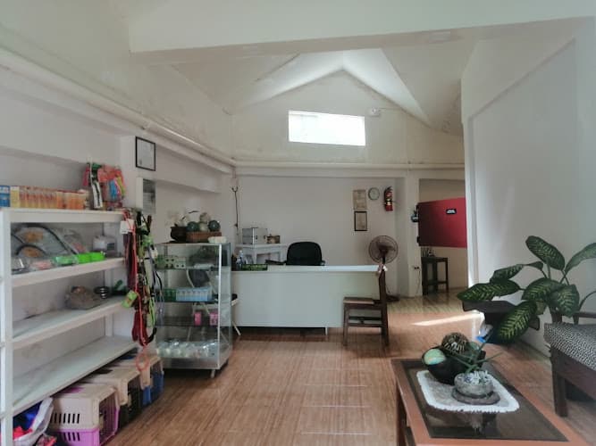 Miko Animal Clinic listing photo