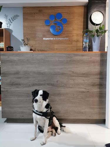 SOUTHPAW ANIMAL DOCTORS CO listing photo