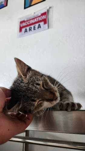 Norden Veterinary Clinic listing photo