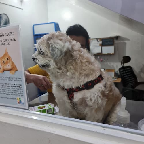 Vet Street Animal Medical Center listing photo