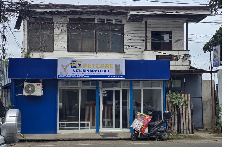 EC PetCare Veterinary Clinic listing photo