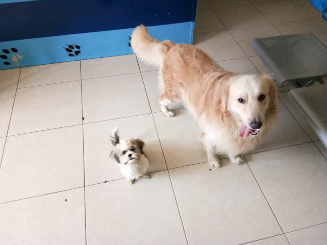 Kingdom Animalia Veterinary Clinic and Petshop listing photo