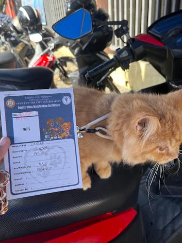 City Veterinarian listing photo