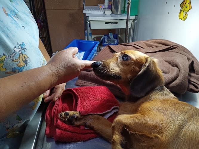 ESC Veterinary Clinic listing photo