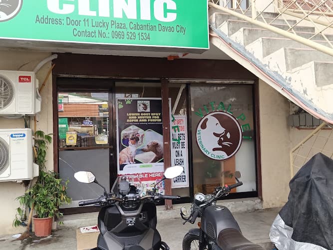 Vitalpet Veterinary Clinic listing photo