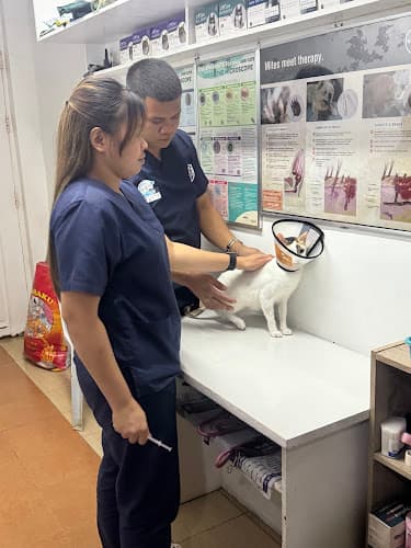 Vetlane Animal Clinic listing photo