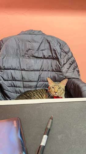Bark N'tails Animal Clinic listing photo