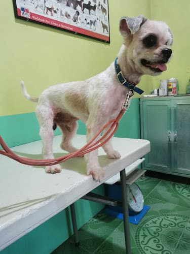 YCC Veterinary Clinic listing photo