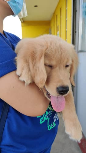 Blessed Gerwel Animal Clinic listing photo