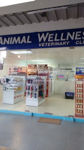 Animal Wellness Veterinary Clinic - Parkmall listing photo