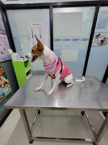 Petrio Veterinary Clinic and Grooming Center listing photo