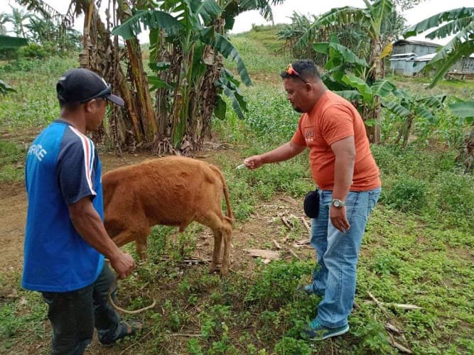 Guihulngan City Veterinary Office listing photo
