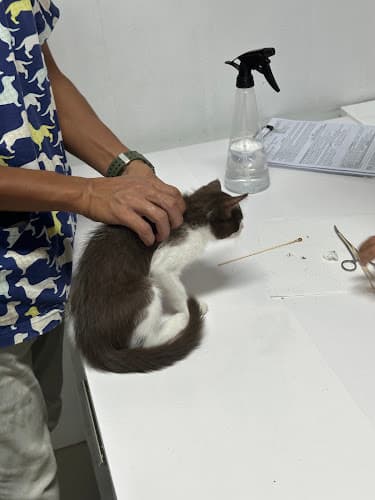 JaviAsis Pet House Veterinary Clinic listing photo