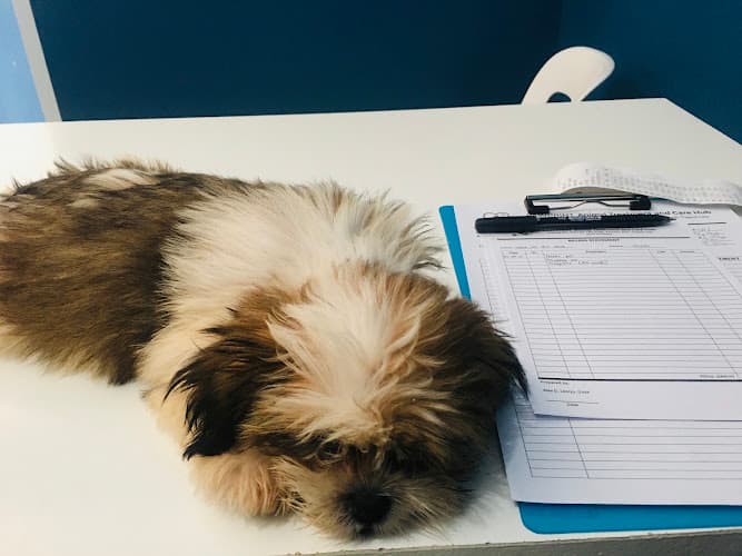 Pawprint Animal Treatment and Care Hub - Veterinary Clinic listing photo