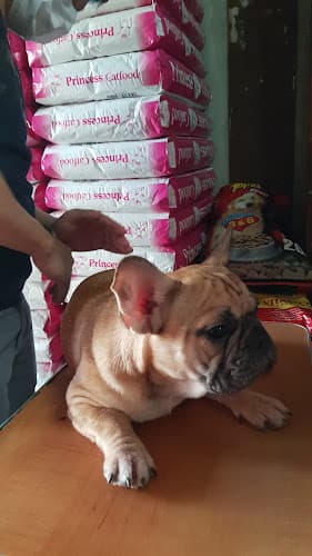 Canine Veterinary Clinic listing photo