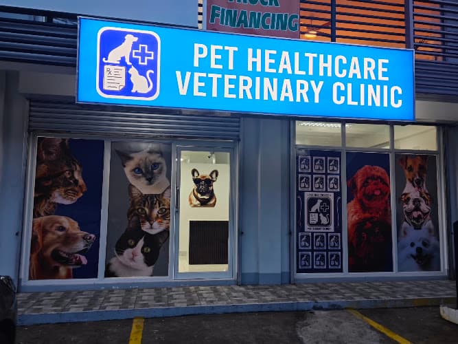 Pet Healthcare Veterinary Clinic-Agoo Branch listing photo