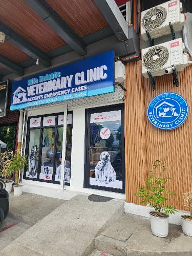 Mile Heights Veterinary Clinic listing photo