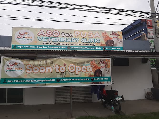 Aso tan Pusa Veterinary Clinic Pet Wellness and Grooming listing photo
