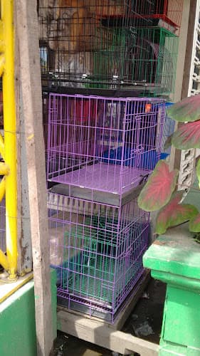 Gabieta Veterinary Clinic listing photo