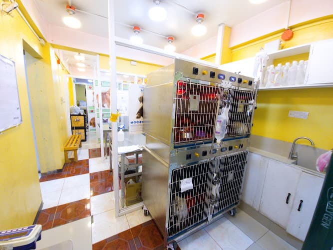 South Valley 24 Hour Pet Grooming And Veterinary Clinic — CANINE DISTEMPER TREATMENT And CONFINEMENT Facility — VALLE SUD VETERINARY SERVICES — C5 MRT Group Of Animal Clinics listing photo