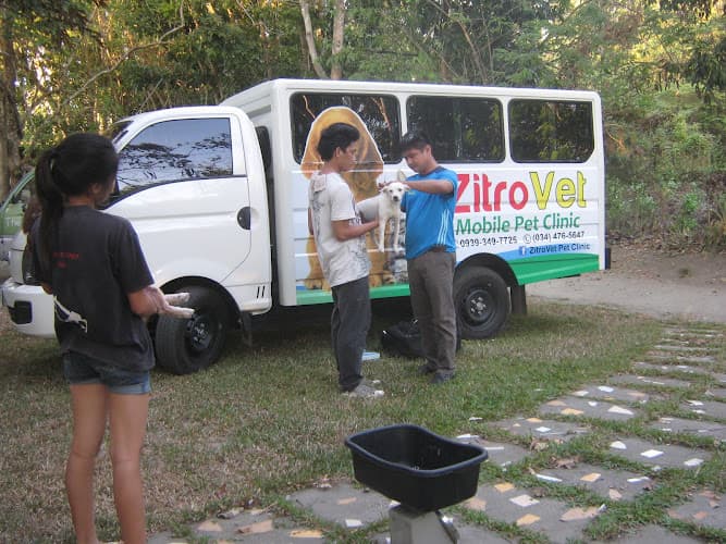 Zitro Vet Clinic listing photo