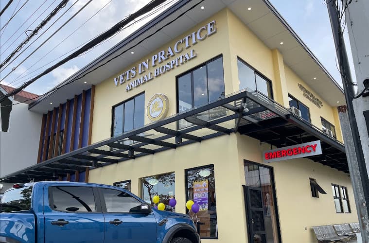 Vets In Practice Quezon City Inc. listing photo