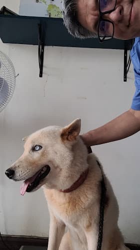 Palawan Animal Health Center listing photo