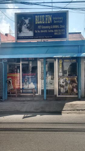 Blue Fin Pet Grooming and Veterinary Clinic — C5 MRT Group Of Animal Clinics listing photo